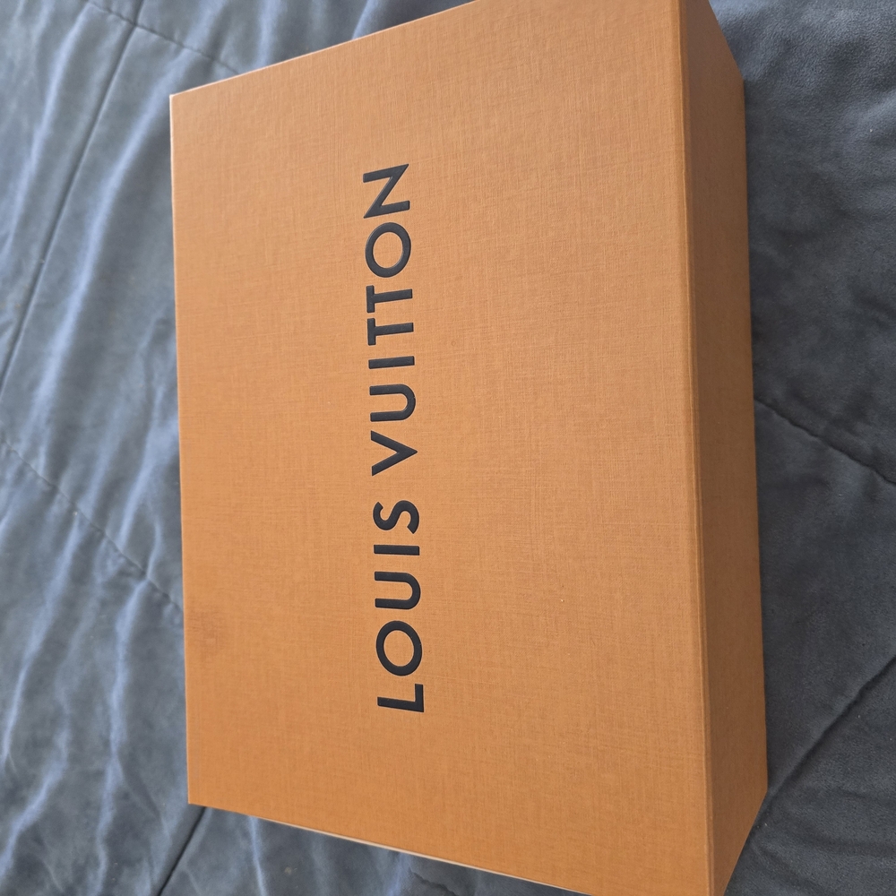 Louis Vuitton Beige Monogram Sandals - Picture 4 of 4